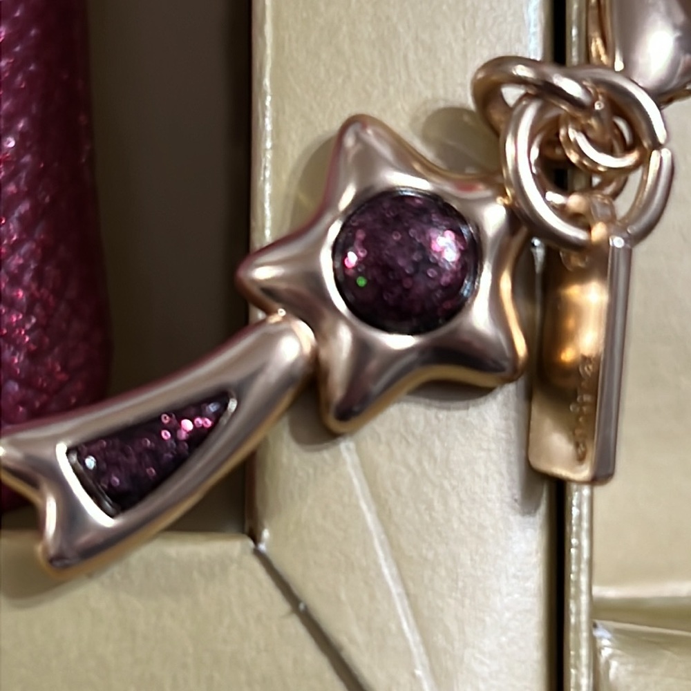 Coach Wristlet with Keychains - Picture 4 of 13